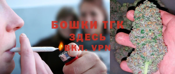 винт Дмитров