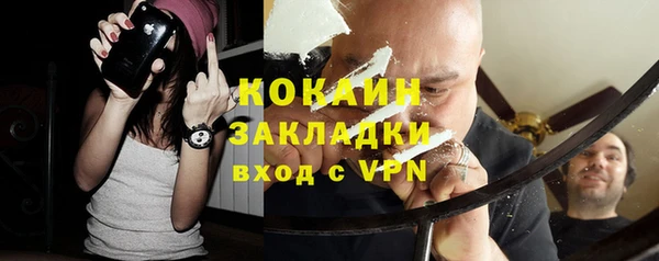 дмт Дмитровск