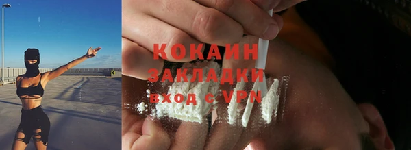 меф Дмитриев