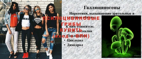 mdpv Гусиноозёрск