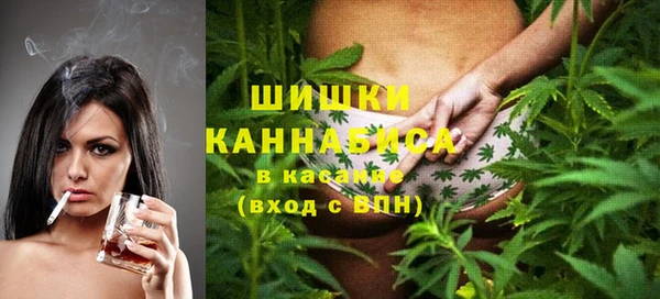 гидра Гусев