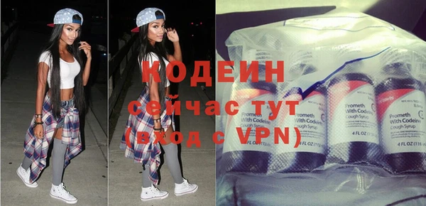 гидра Гусев
