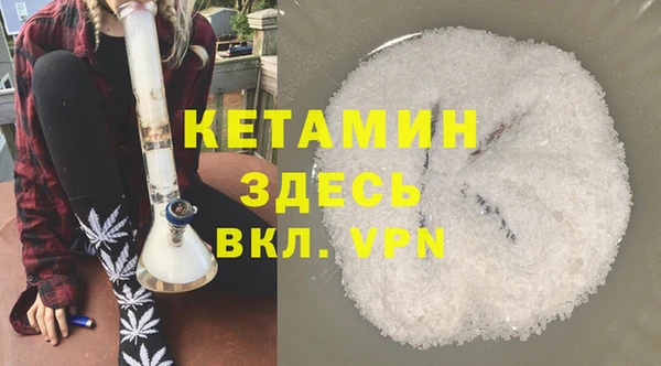 гидра Гусев