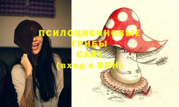 винт Дмитров